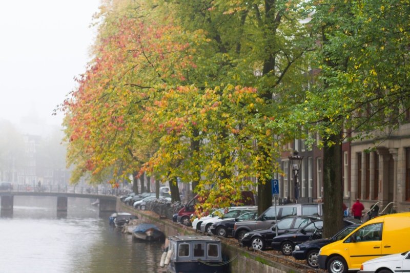 Flowers and the Singel canal