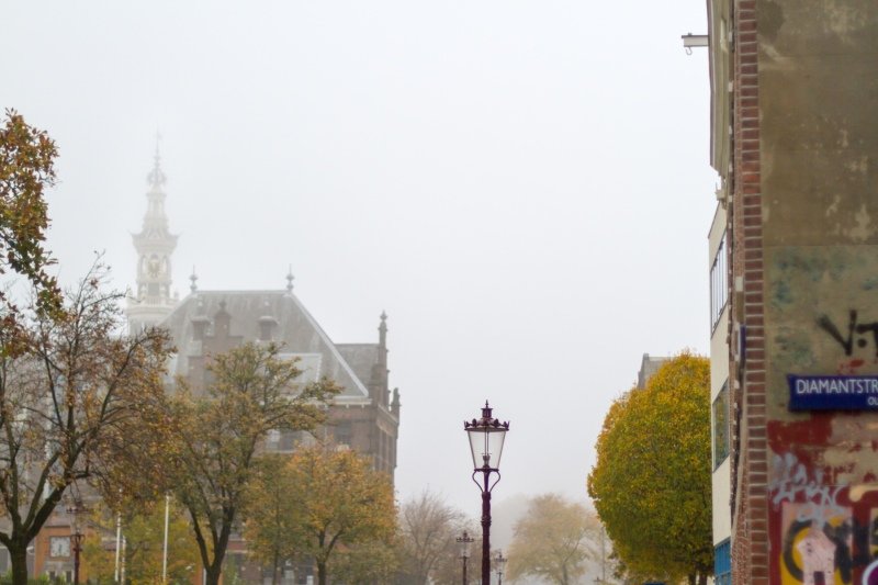Foggy walk