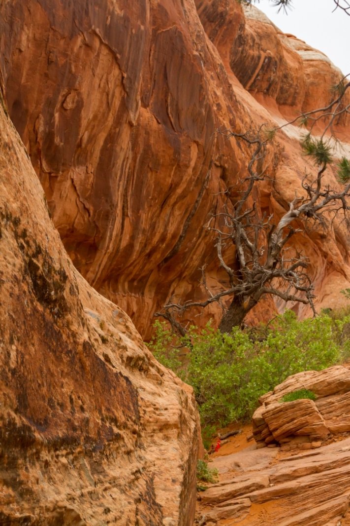 Arches National Park