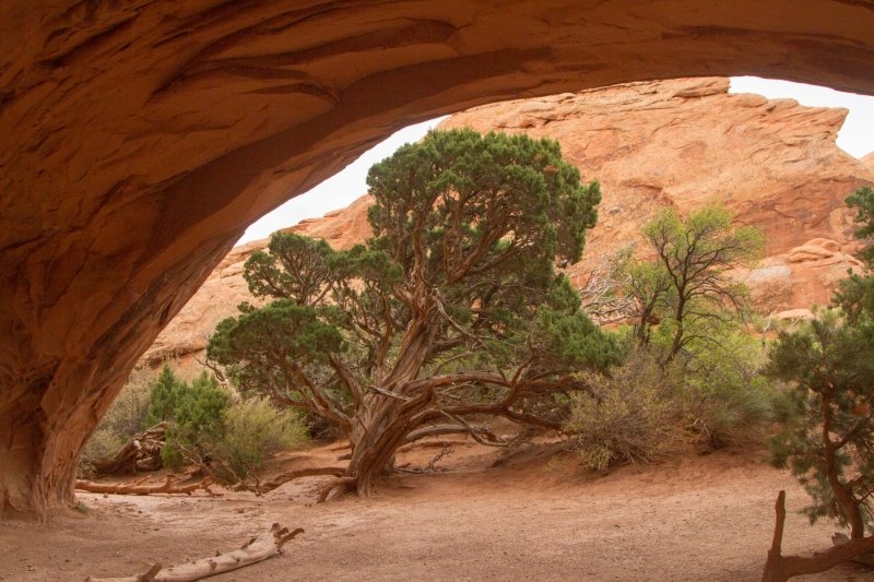Arches National Park