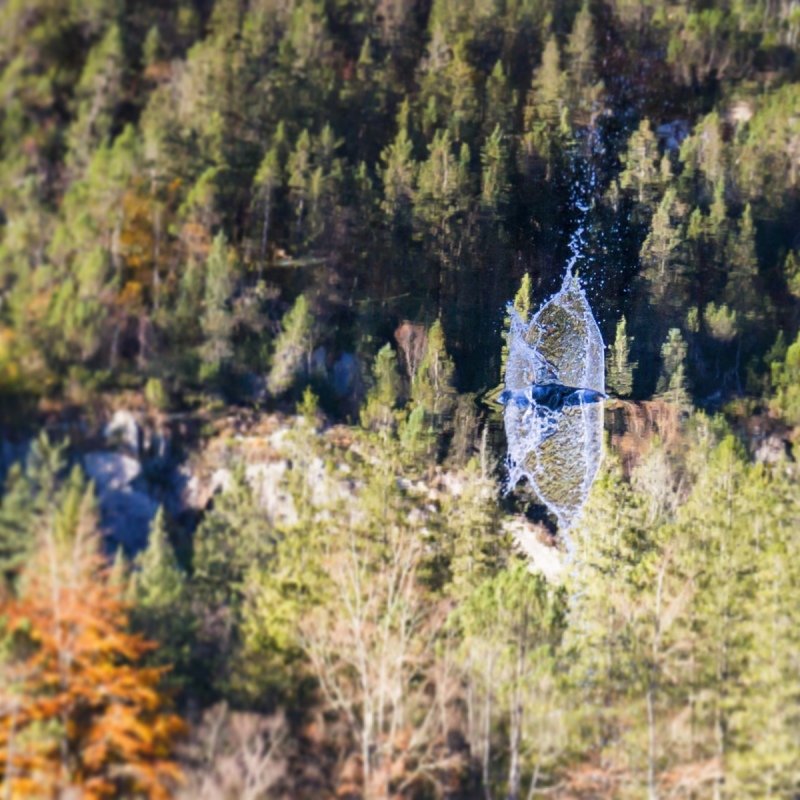 20141014-20141014-IMG_3179