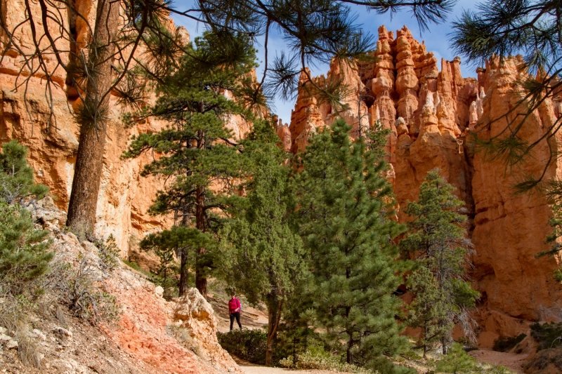 Heading down Navajo Trail