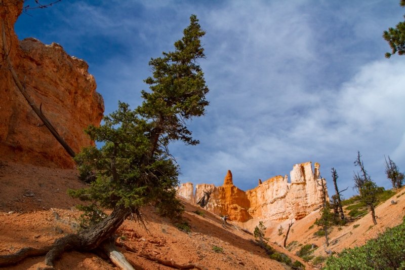 Onto Peek-A-Boo Loop