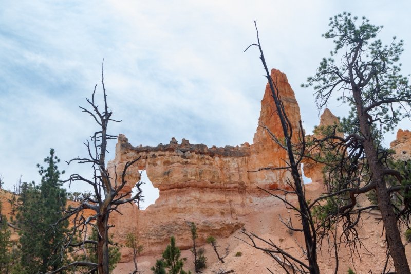 The Fairyland Loop
