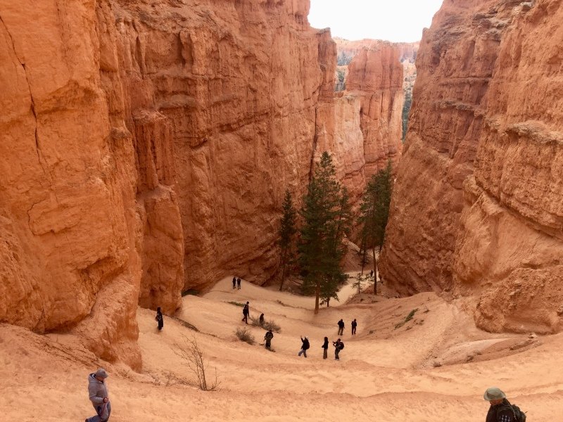 The switchbacks