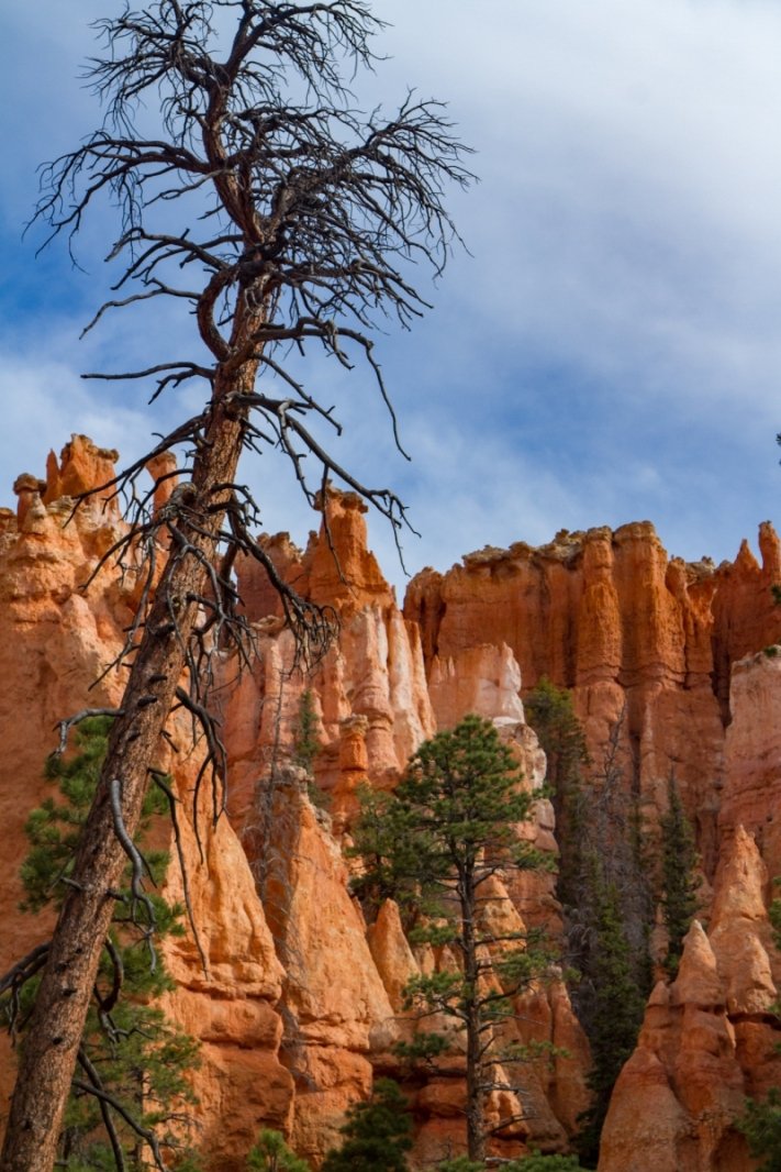 20180429-20180428-_MG_6422