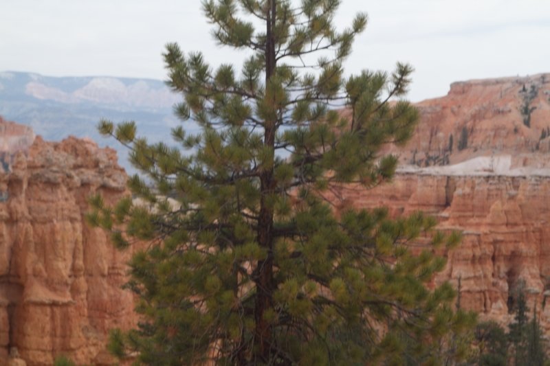 20180429-20180428-_MG_6519