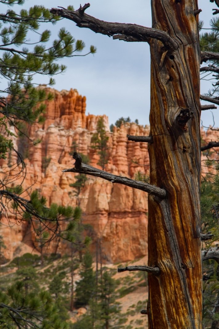 20180429-20180428-_MG_6575