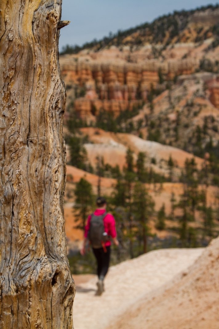 20180429-20180428-_MG_6608