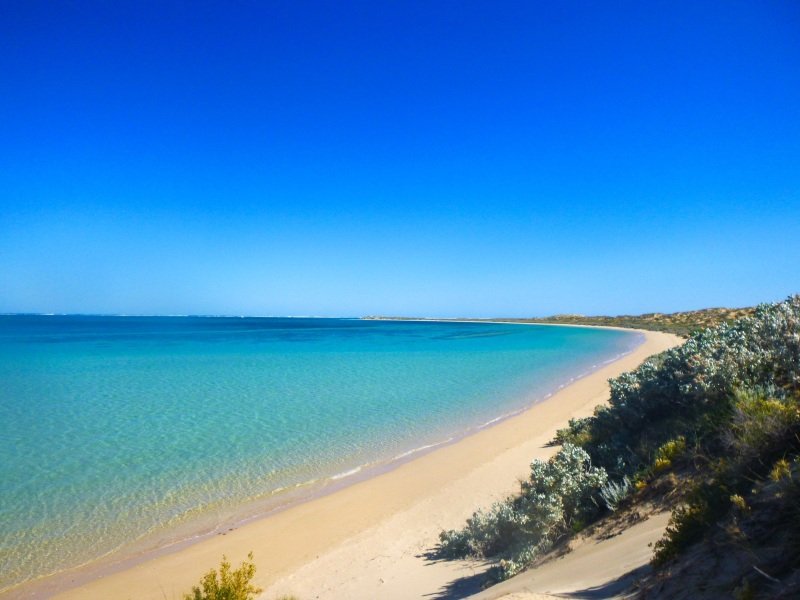 Looking for sharks in Coral Bay