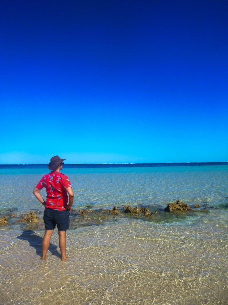 Looking for sharks in Coral Bay