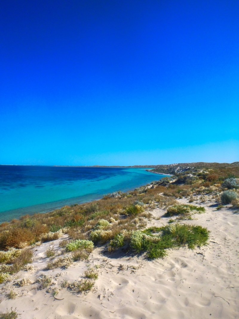 Looking for sharks in Coral Bay