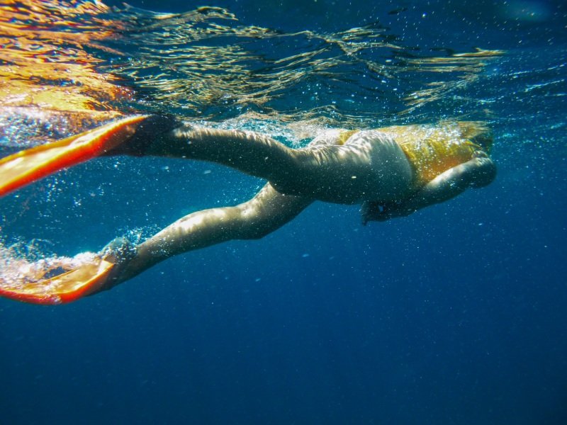First whale shark tour, Cape Range