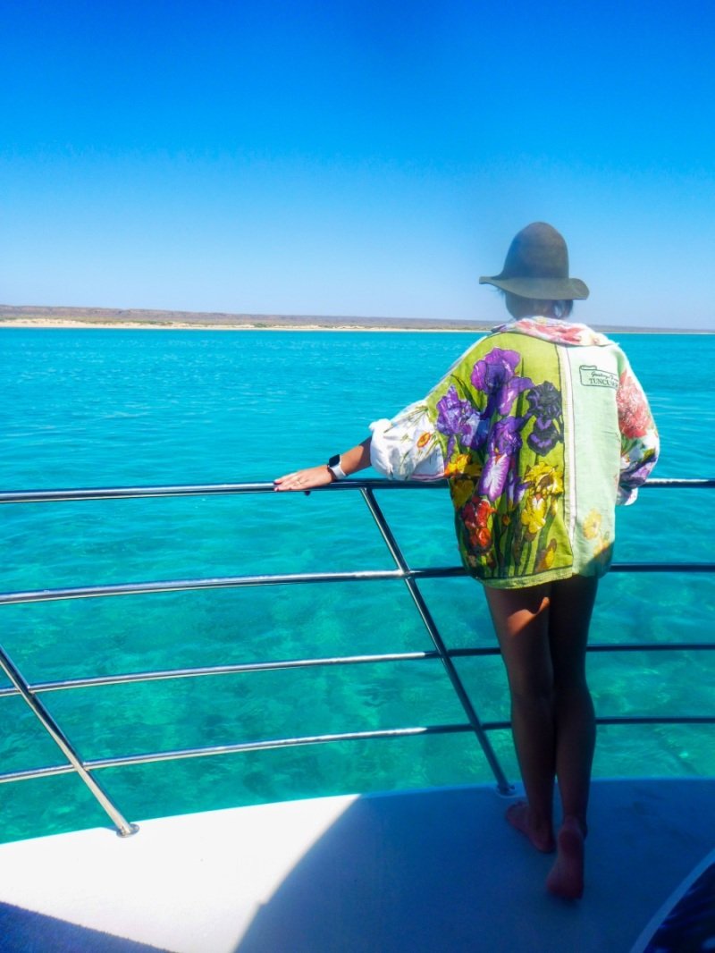 First whale shark tour, Cape Range