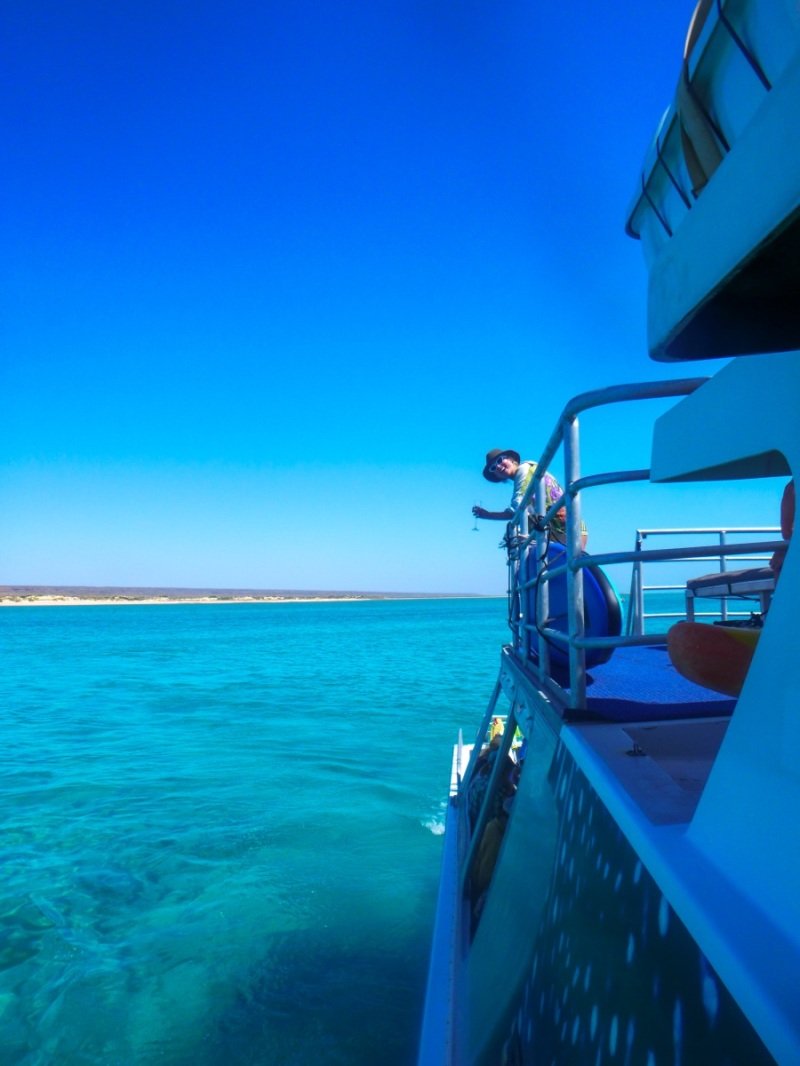 First whale shark tour, Cape Range