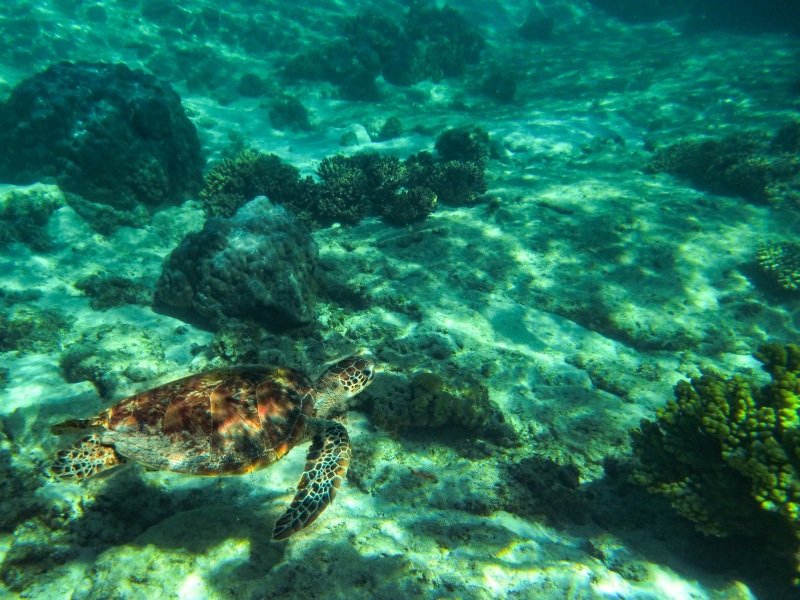 Turquoise Bay, Cape Range