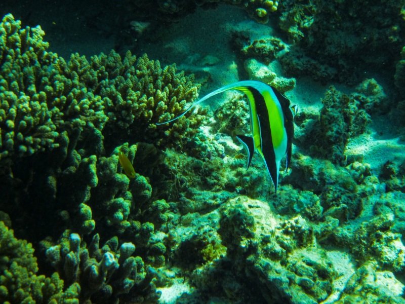 Turquoise Bay, Cape Range