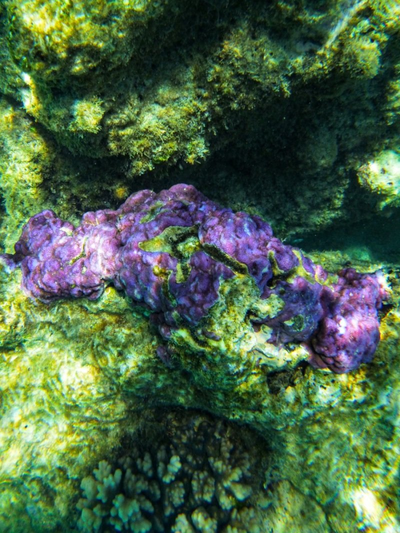 Turquoise Bay, Cape Range