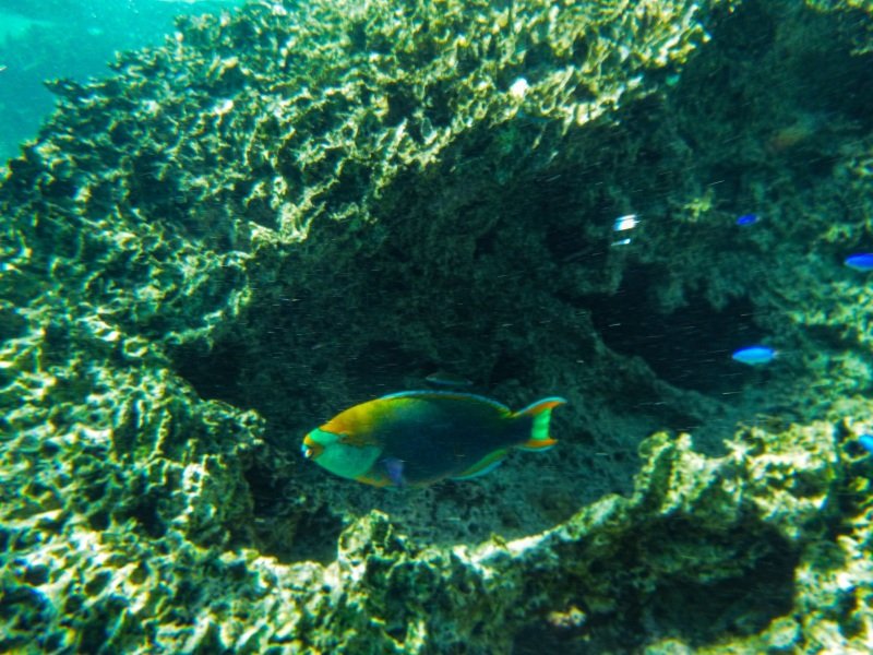 Oyster Stacks, Cape Range