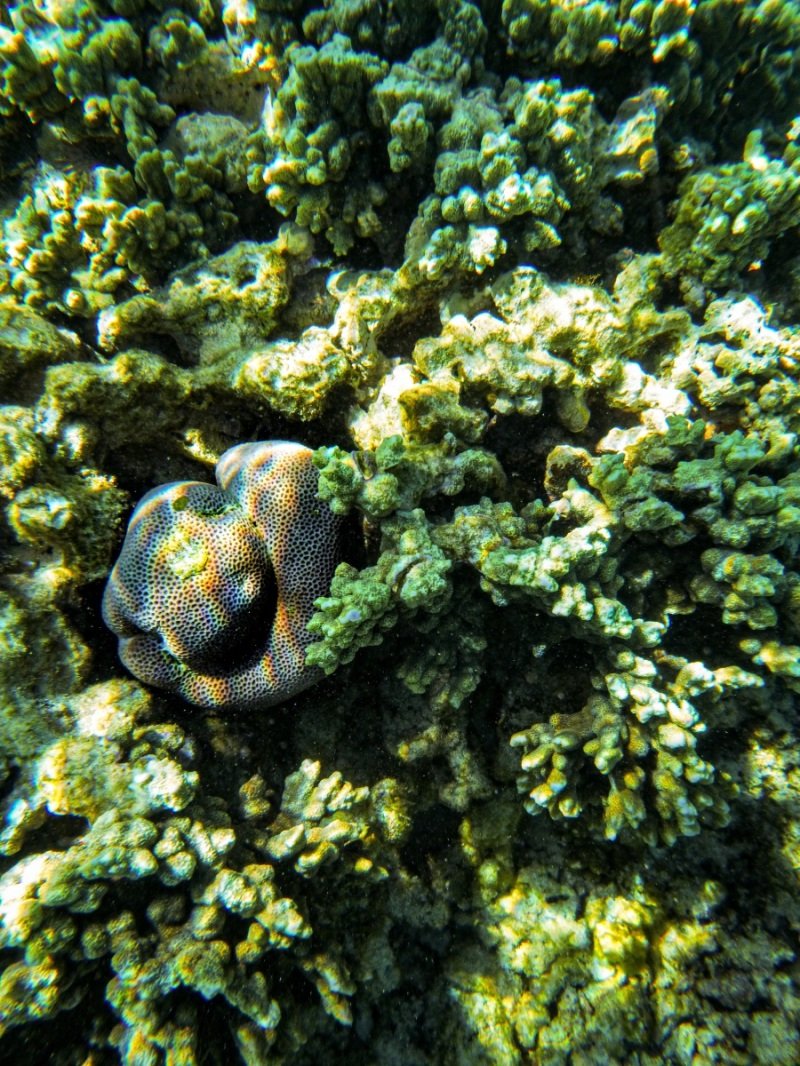 Oyster Stacks, Cape Range