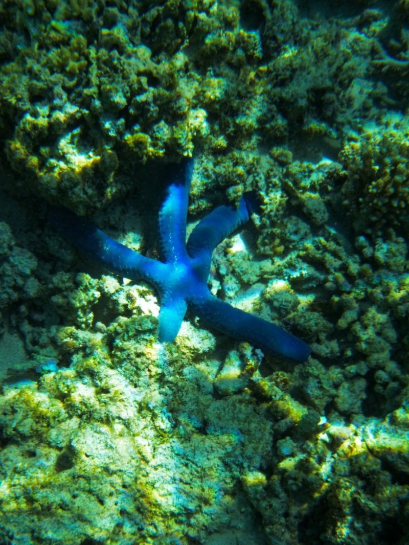 Oyster Stacks, Cape Range