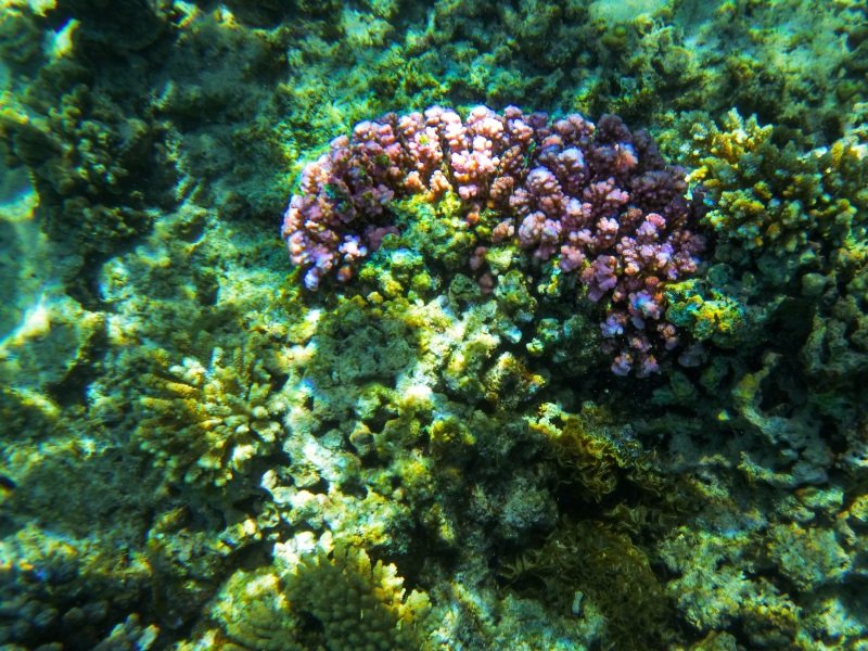 Oyster Stacks, Cape Range