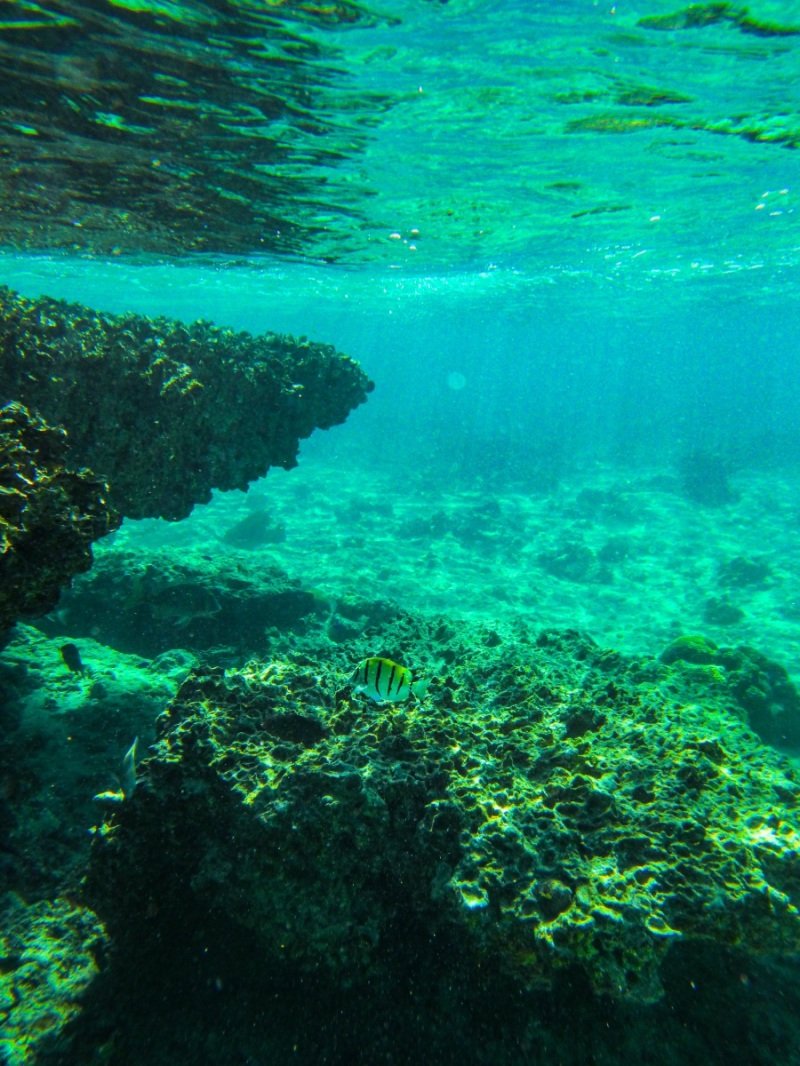 Oyster Stacks, Cape Range