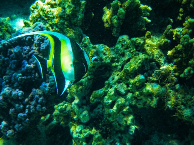 Turquoise Bay, Cape Range