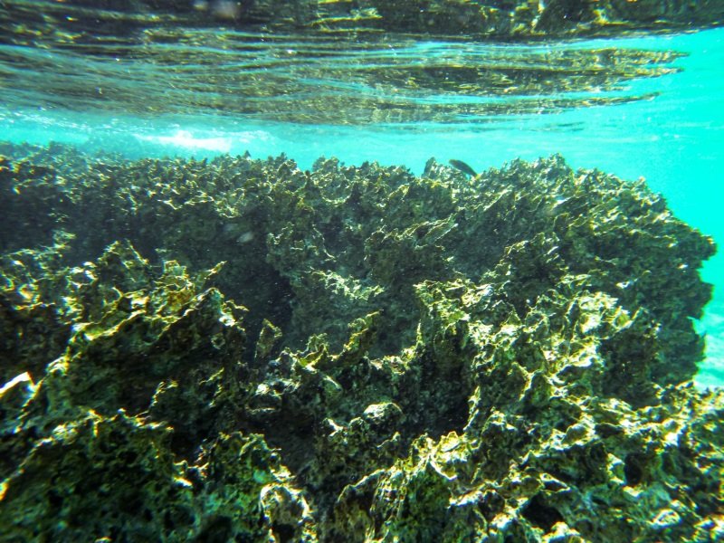 Oyster Stacks, Cape Range