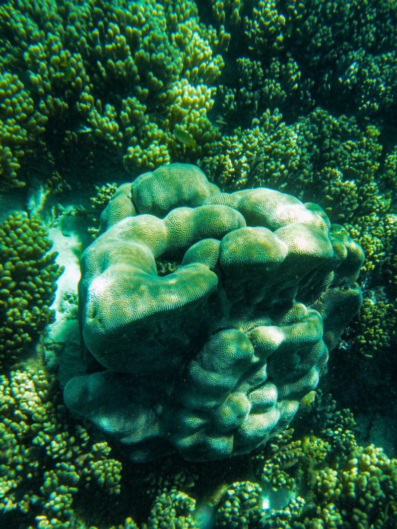 Turquoise Bay, Cape Range