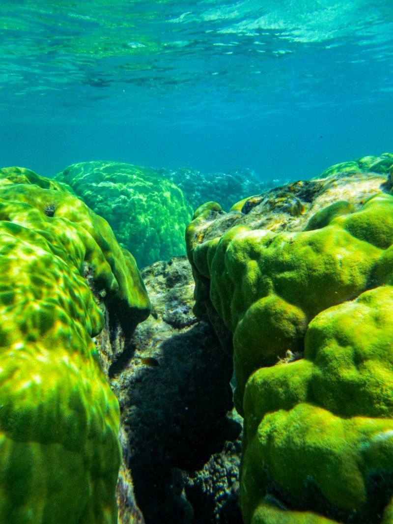 Turquoise Bay, Cape Range