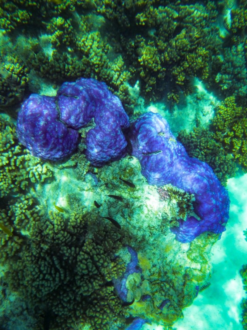 Turquoise Bay, Cape Range