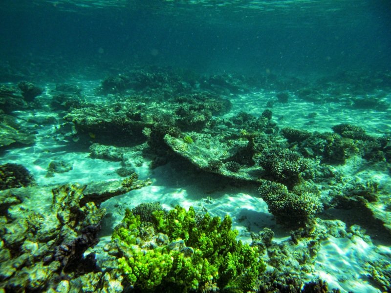 Oyster Stacks, Cape Range