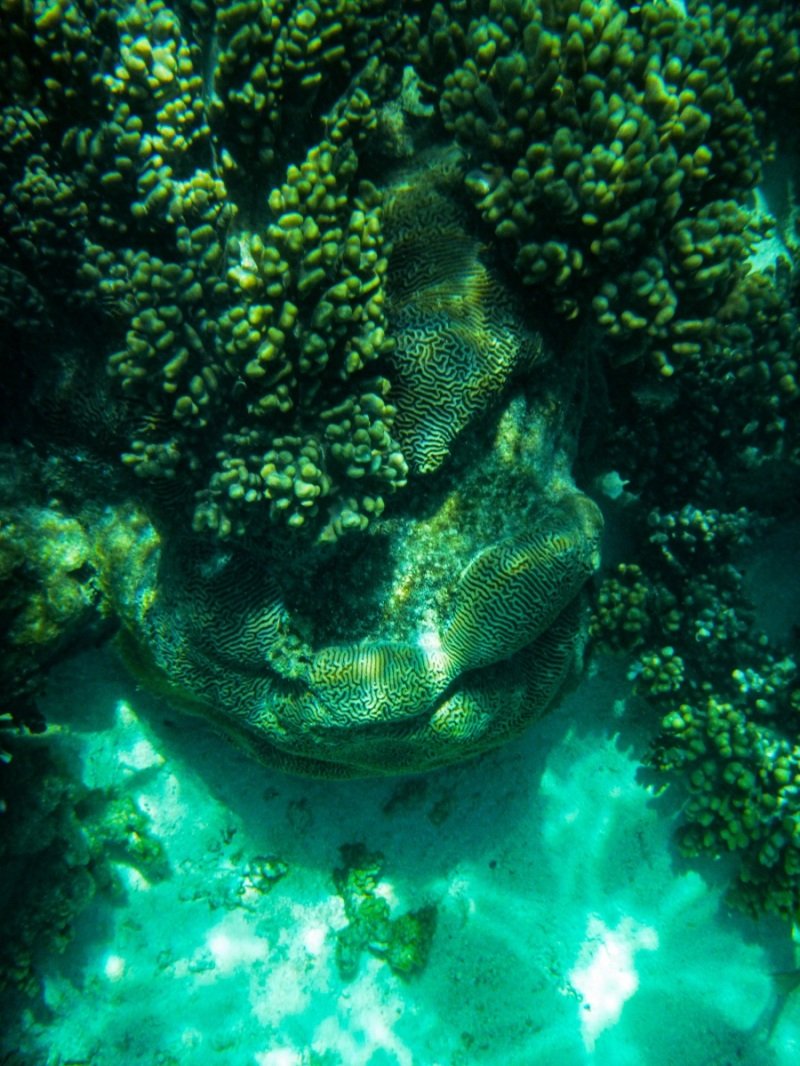 Turquoise Bay, Cape Range