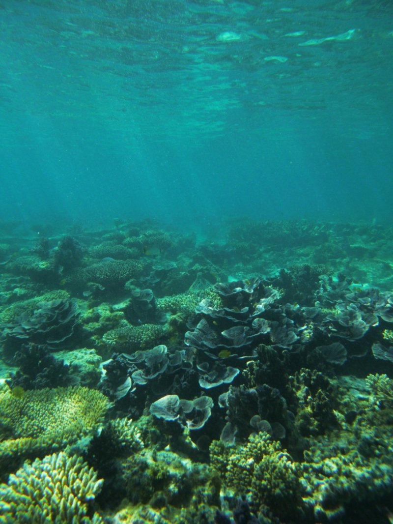 Oyster Stacks, Cape Range