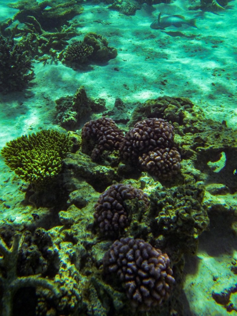 Turquoise Bay, Cape Range