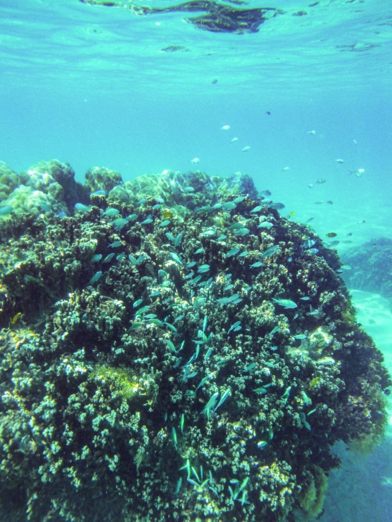 Turquoise Bay, Cape Range
