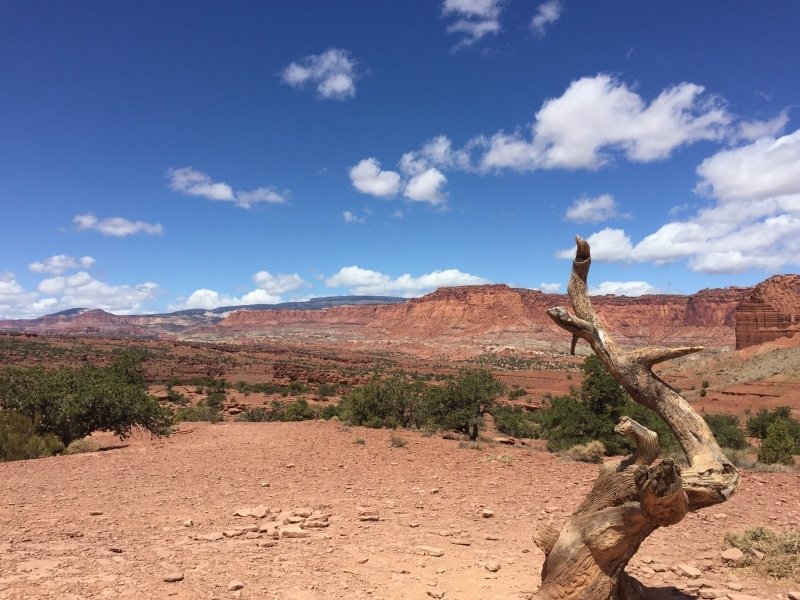 Heading into Capital Reef