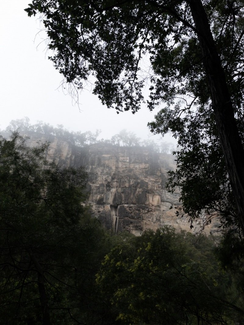 58DE5574-337A-47B4-A5D7-706BBD4B145D