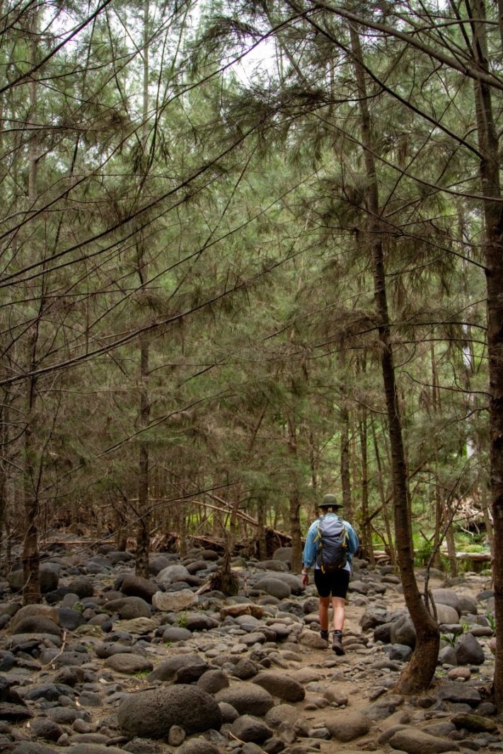 81E91C49-9A22-4007-9916-1F6E60A1FFFA