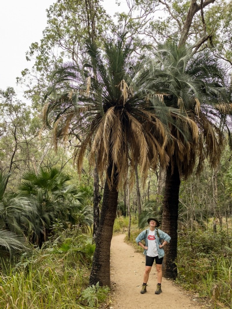 AECA64D2-5935-4163-9979-9709B97186BD