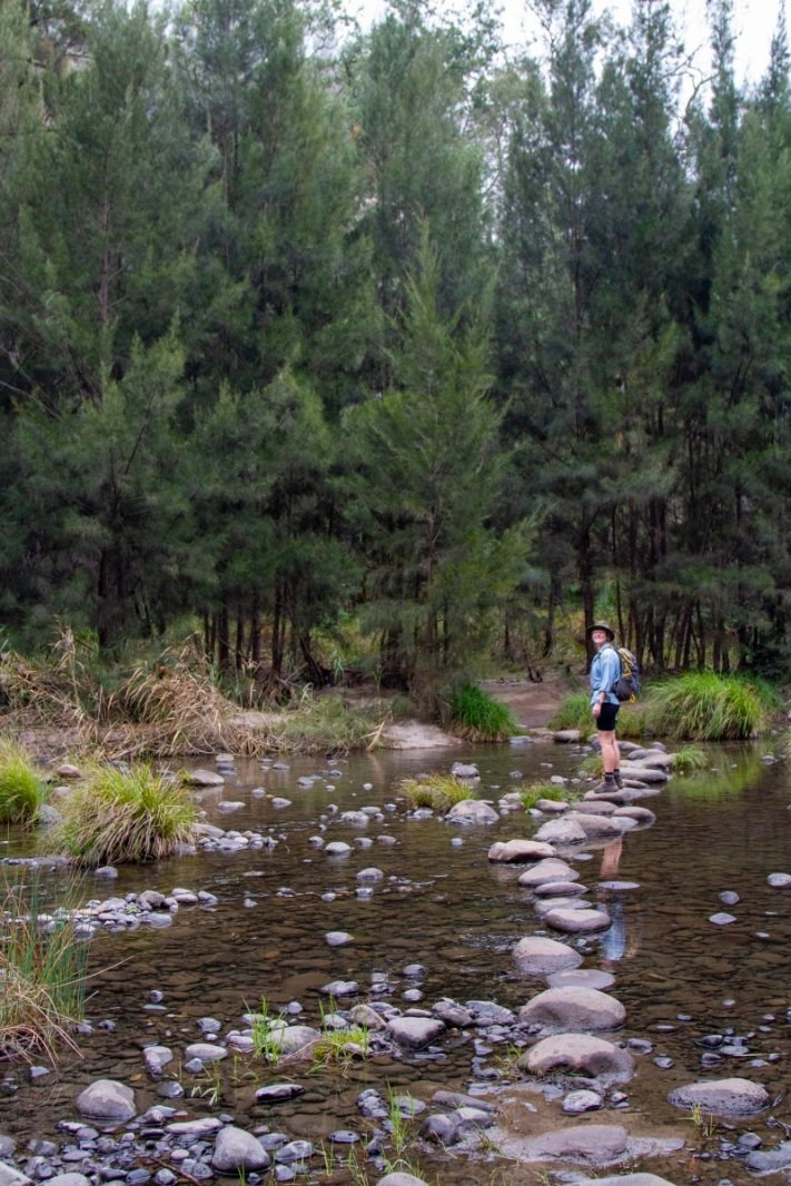 DC254EB5-2188-46E2-BA14-C1CF8F18A543