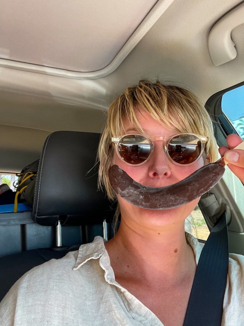 Frozen choc-banana from Gascoyne Organic Farm