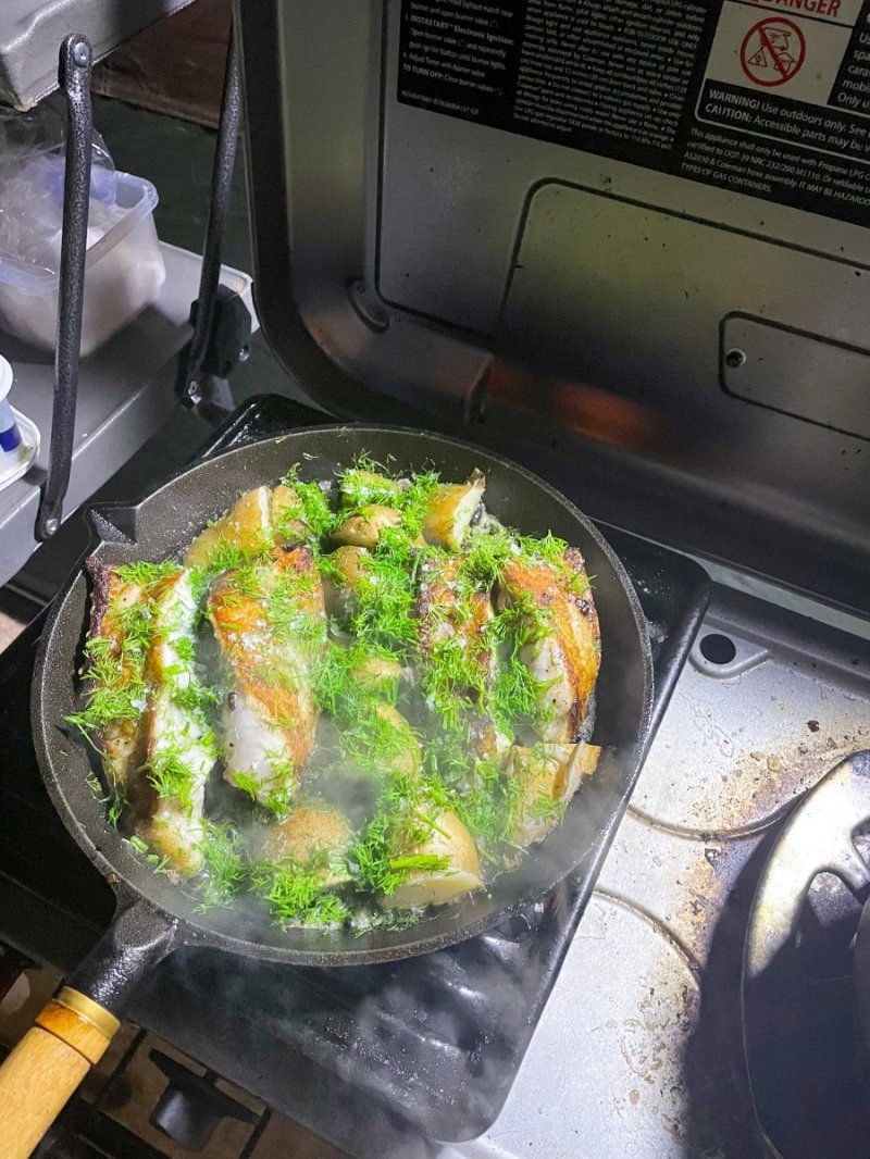 Local fish, Shark Bay