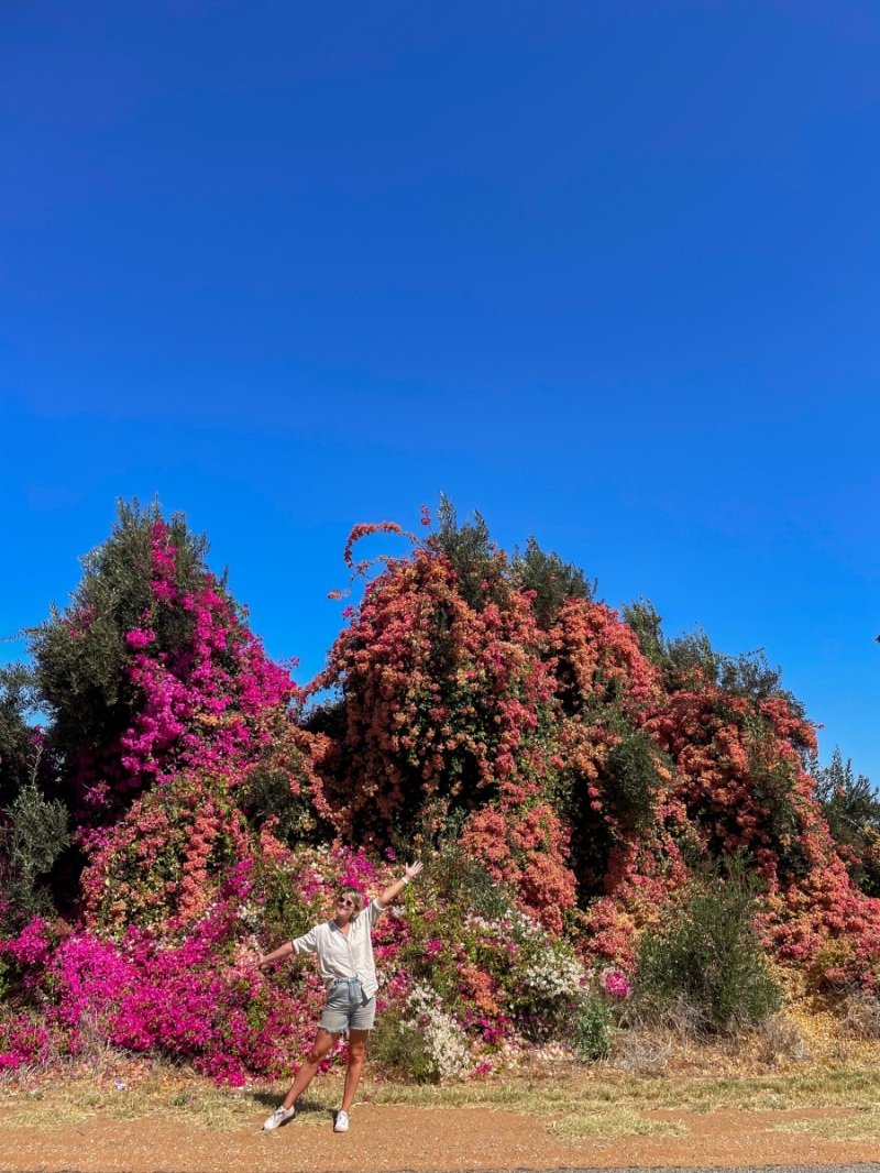 Anna's flower fantasy