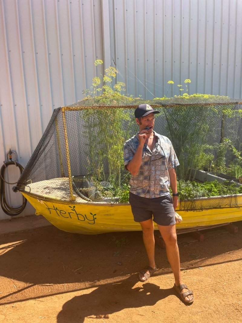 Frozen choc-banana from Gascoyne Organic Farm
