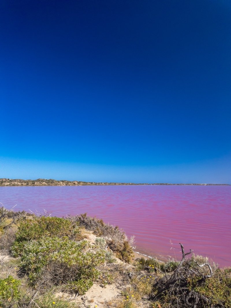 Pink Lake!