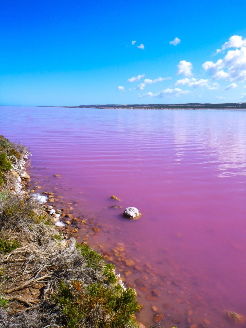 Pink Lake!