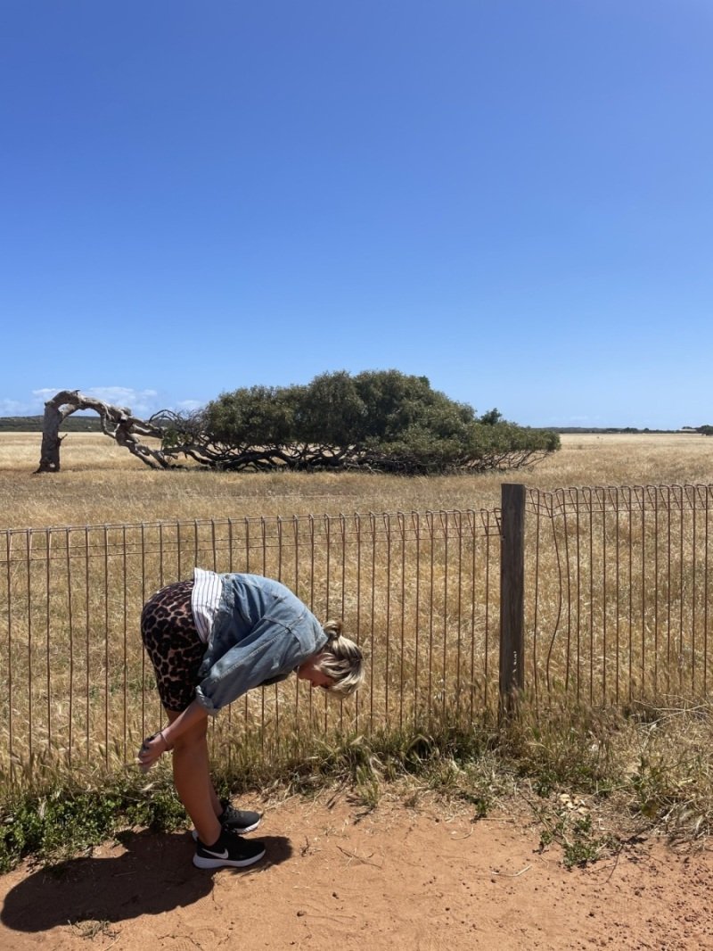 Leaning Tree (aka "on closer inspection these are loafers")