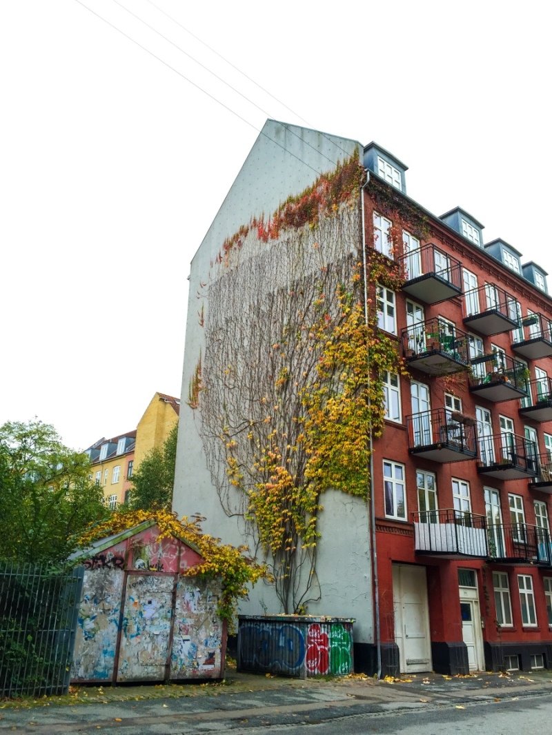 20141022-20141022-IMG_0895